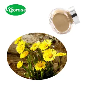 10: 1 Tussilago farfara extract/Coltsfoot extract/High Quality Coltsfoot Flower extract