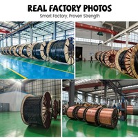 Cable Sumergible de Bajo Voltaje JHS 380V, Impermeable, con Conductor de Cobre y Revestimiento de Goma/EPDM para Aplicaciones Industriales
