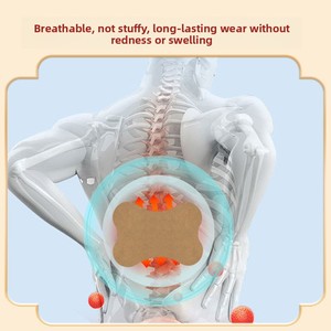 ジュグジンファン漢方＆綿薬用腰痛緩和パッチ、腰痛緩和、通気性、非刺激性、普通肌向け - Product Image 3