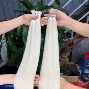 ผมแท้ธรรมชาติเวียดนามแบบเป็นมัด ผมตรงเรียบเนียน สีแพลตตินัม - Product Image 2