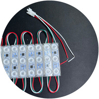 Super haute luminosité 1.2w smd3030 2811 1903 étanche IP68 programmation numérique magique rvb DC12V led module pour canal lettre l