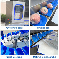ORME Machine voor het sorteren van hele kippen, machine voor het sorteren van gedroogde ansjovis, machine voor het sorteren van papaja's voor fruit