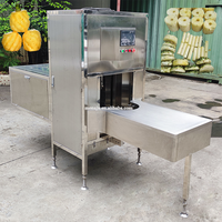 Industriële ananasschilmachine/fruitenschilmachine/meloenzaadmachine
