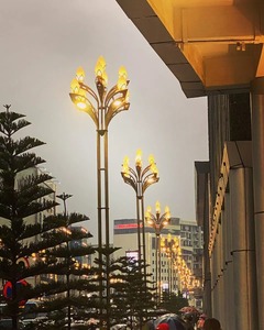 ไฟถนนมัลติเฮดดิ้งรูปดอกแมกโนเลียสีทองสำหรับโครงการเมืองอัจฉริยะเอธิโอเปีย ขายดีในแอฟริกา ใช้สำหรับตกแต่งภูมิทัศน์ในเมืองแอดดิสอาบาบา - Product Image 3