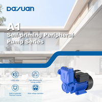 Pompe à vortex DAYUAN 750W 1HP 1 pouce auto-amorçante de surface pour maisons familiales