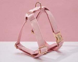 ชุดสายจูงสุนัข babypink Veet ชุดสายจูงสุนัขแบบปรับแต่งได้ + ปลอกคอ + หูกระต่าย + ที่ใส่กระเป๋าไม่มีสายรัดสำหรับงานแต่งงาน - Product Image 2