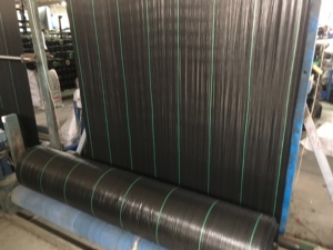 Tissé PP <span class=keywords><strong>tissu</strong></span> de contrôle des mauvaises herbes jardin contrôle des mauvaises herbes serre couverture du sol paysage <span class=keywords><strong>tissu</strong></span> noir PP tissé <span class=keywords><strong>géotextile</strong></span> - Product Image 2