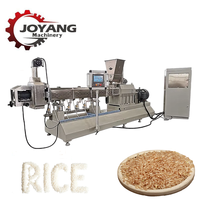 Ligne de production d'extrusion de riz artificiel, machine de fabrication de grains de riz enrichis 200-800 kg/h