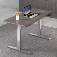 Meubles de bureau, table de bureau électrique à hauteur réglable, support de table, bureau assis-debout