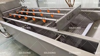 Durian & Kiwi Groentewasmachine 500Kg Capaciteit Motor Aangedreven Voor Fruitverwerkende Fabriek