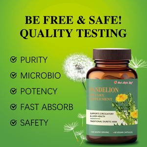 Capsules de pissenlit riches en fibres - Soutien à la santé intestinale et prébiotique, complément alimentaire naturel pour la digestion - Product Image 6