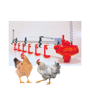Bebedero y Comedero para Aves de Corral, Sistema de Bebederos de Tetina para Aves, Minimiza el Desperdicio de Agua, Fabricado en Vietnam, Venta Caliente - Product Image 6