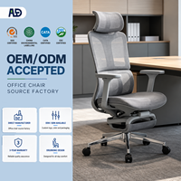Chaise de bureau exécutive ergonomique haut de gamme en maille avec support lombaire, base chromée et fonctions réglables pour le bureau à domicile