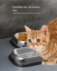 Nicety - Comedero para Perro Rectangular Personalizado Antideslizante de Acero Inoxidable 304 Ecológico, Diseño Moderno y Portátil para Comida de Perro Regular - Product Image 2