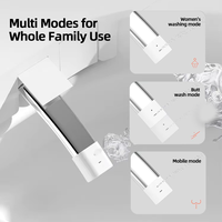 Toilette intelligente professionnelle avec système anti-obstruction, bidet électrique intelligent, toilette connectée de luxe pour les entreprises de rénovation résidentielle