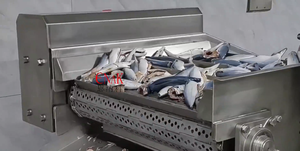 Machine de transformation de la viande et du poisson <span class=keywords><strong>en</strong></span> conserve automatique pour l'emballage <span class=keywords><strong>en</strong></span> carton, ligne de production de sardines, de thon et de bar <span class=keywords><strong>en</strong></span> conserve - Product Image 6