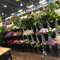Présentoir de fleurs en métal simple face robuste pliable avec étagère de présentation de pot de fleurs de 16 pièces pour vitrine de fleurs