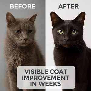 OEM Soft Chew Cats Immune Support Probiotic Fish Oil High-<b>Protein</b> Pet Supplement for Skin & Coat Care Joint & Digestive Care - Product Image 5