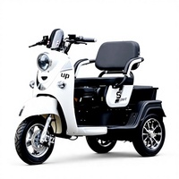 Scooter électrique à 3 roues, capacité de charge de 200 kg, 1200 W, grande capacité de rangement, étanche IPX5, scooter électrique de loisirs à 3 roues