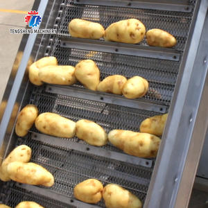 Op Maat Gemaakte Groente Transportband Fruit <span class=keywords><strong>Mango</strong></span> Appel Oranje Food Grade Riem Hellende Groente Transportband - Product Image 2