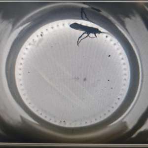 <span class=keywords><strong>เครื่อง</strong></span>ตรวจสอบภาชนะ<span class=keywords><strong>เปล่า</strong></span>พร้อมเทคโนโลยีการเรียนรู้เชิงลึก AI โมดูลตรวจสอบที่มีความไวสูงการตรวจหาสารกัดกร่อนที่ตกค้าง - Product Image 1