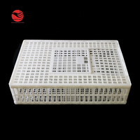 Cage d'élevage de volailles vivantes pour le transport de poulets, caisses de transport de poulets à vendre, fermes de transport de poulets BY-001