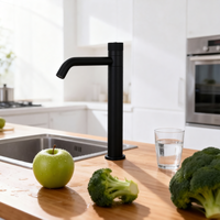 Nouveau style de filtre à eau rafraîchissante et d'eau gazeuse pour machine à soda, sans plomb, en acier inoxydable 304, robinet de cuisine 3 en 1
