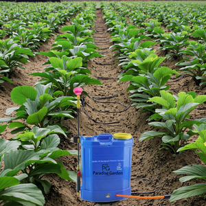 Nhà Máy Bán buôn nông nghiệp thuốc trừ sâu pin-powered điện vườn Ba lô phun 20L Công suất <span class=keywords><strong>4</strong></span>.5bar Áp lực tối đa - Product Image 3