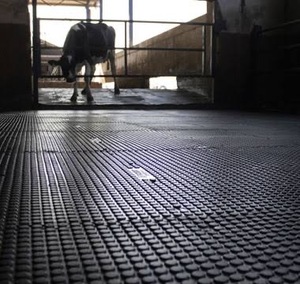 Un incontournable pour l'élevage de bovins à grande échelle est le tapis antidérapant pour vaches. Choisissez celui-ci, les sabots de vache ne seront pas blessés. - Product Image 2