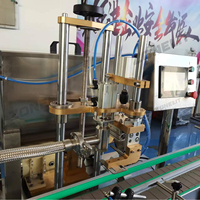 Machine de remplissage de pompe à piston de bouteille de gommage corporel de mayonnaise de Kechup de matériau visqueux et machine de capsulage