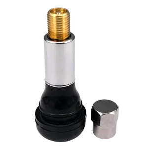 TR414C Achrader de valve De Pneu de Voiture Vannes Tubeless Valve De Pneu