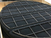 Filtre en treillis métallique anti-buée en acier inoxydable 304 316