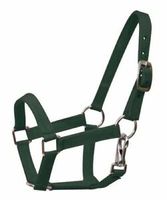 Vente en gros d'équitation Halter Premium Nylon Headstall de cheval Produits équins Cheval Halter Bridle Head Collar