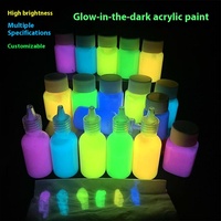 Ensemble de pigments lumineux imperméables et durables de 30ml peints à la main pour vêtements humains peinture de vêtements