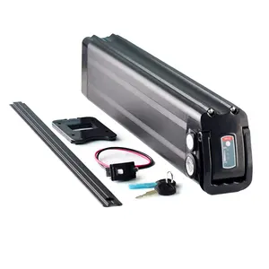 Bateria de lítio para bicicleta elétrica, 1000w, 48v, 20Ah, peixe prateado, motor 8fang, ebike