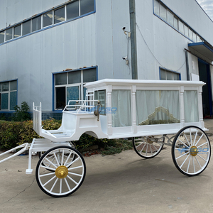 2025 Carrosse funéraire vintage à chevaux, couvert de verre, électrique, traîné par des chevaux, pour cercueil - Product Image 6