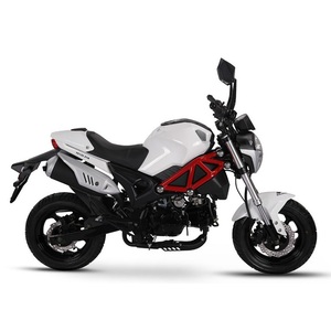 Minimotocicleta Eléctrica para Adultos de Alta Velocidad, 3000w, Venta al Por Mayor - Product Image 2