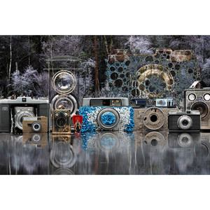 Fluffy Camera Art Print en Water Unique Visual Appeal Wall Decor - Product Image 1