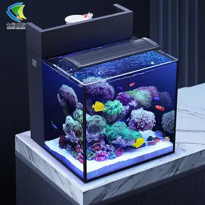 Fabrika sıcak satış masaüstü balık tankı entegre balık tankı ile donatılmış lamba filtresi arıtma Ultra beyaz cam malzeme