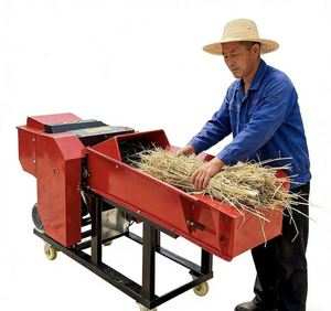 Machine à couper l'herbe pour la paille et la transformation des aliments secs et humides à double usage pour le bétail et les moutons - Product Image 5
