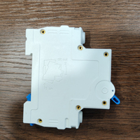 Disjoncteur unipolaire DZ47-63 MCB C20, mini-disjoncteur AC110V 50Hz 6kA, courant de coupure, type rail DIN, protection contre les surcharges et les courts-circuits