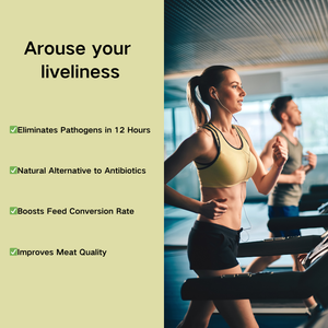 Oem/Odm Carvacrol-Rijke Oregano-Olie | Vervang Antibiotica In Diervoeder - Product Image 2