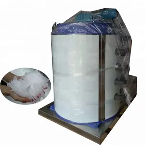 Saltwater For Fishing Boat Harbor Machine Evaporator Flake Ice Drum 20000 Kg