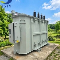 Transformateur haute tension 110 kV immergé dans l'huile, certifié TSTY, pour projets EPC des services publics américains