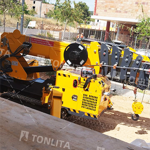 עגור tonlita עגור 3 טון יורו 5 דיזל מעלית מעלית סל מאוישת סל זכוכית מקורה לעוף ג 'יב - Product Image 4