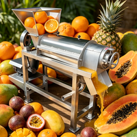 Machine à jus de fruits et légumes industrielle et commerciale, extracteur de jus de citron, gingembre, agrumes et orange en acier inoxydable