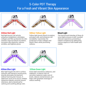 Máquina Coreana de Limpieza Profunda Facial, Máquina de Hidrodermoabrasión Facial Coreana 12 <span class=keywords><strong>en</strong></span> <span class=keywords><strong>1</strong></span> con Analizador de Piel - Product Image 5
