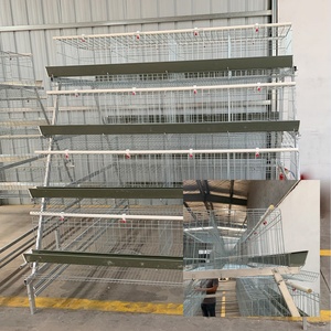 Système de cage à batterie automatisé de <span class=keywords><strong>type</strong></span> <span class=keywords><strong>A</strong></span> pour l'élevage de volailles, directement de l'usine - Product Image 1