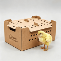 Boîte de transport pour poussins, carton de transport divisé pour oiseaux, boîte de transport pour bébés poussins, boîtes de transport