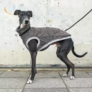 Ropa de invierno personalizada de algodón cálido abrigo de galgo italiano ropa para perros - Product Image 5